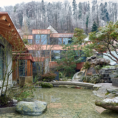 Swiss house with Japanese architecture