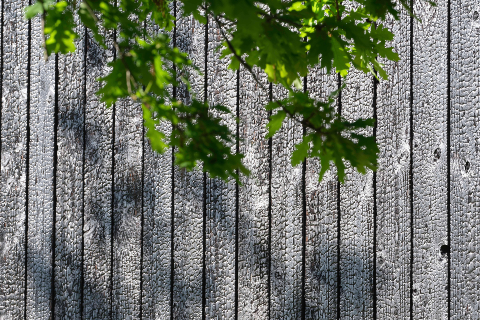 Atelier Brink Naoshima Zwarthout