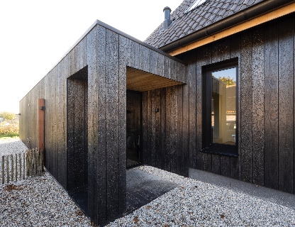 Shou Sugi Ban Marugame Herpt