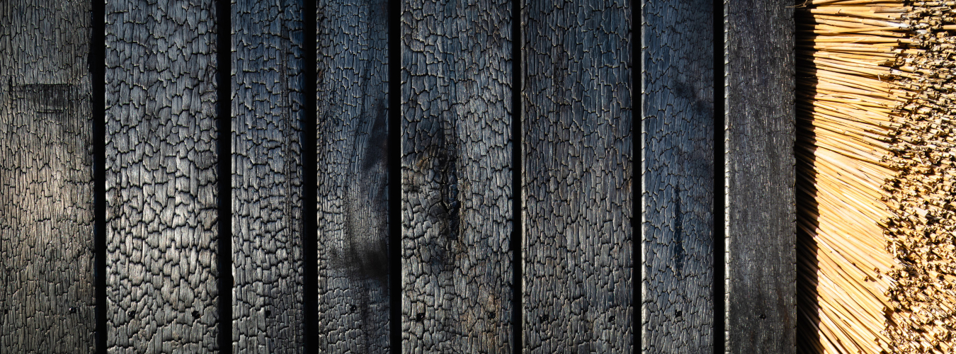Burned wood