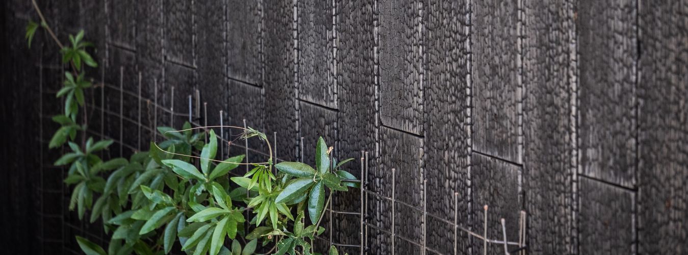 Biobased gevelbekleding