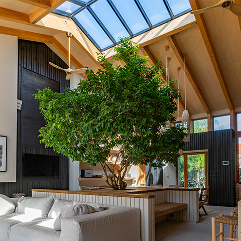 Maison Tondu Naoshima TDesign SEMAD
