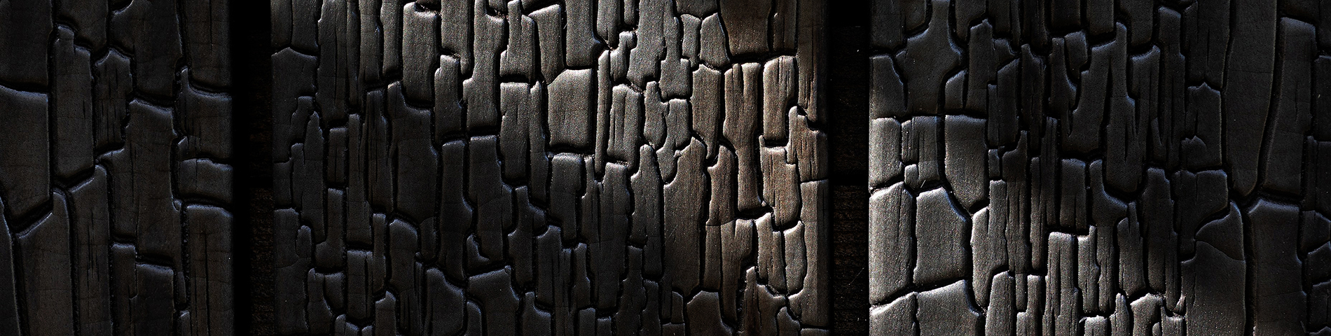 Welche Holzarten sind für Shou Sugi Ban geeignet?