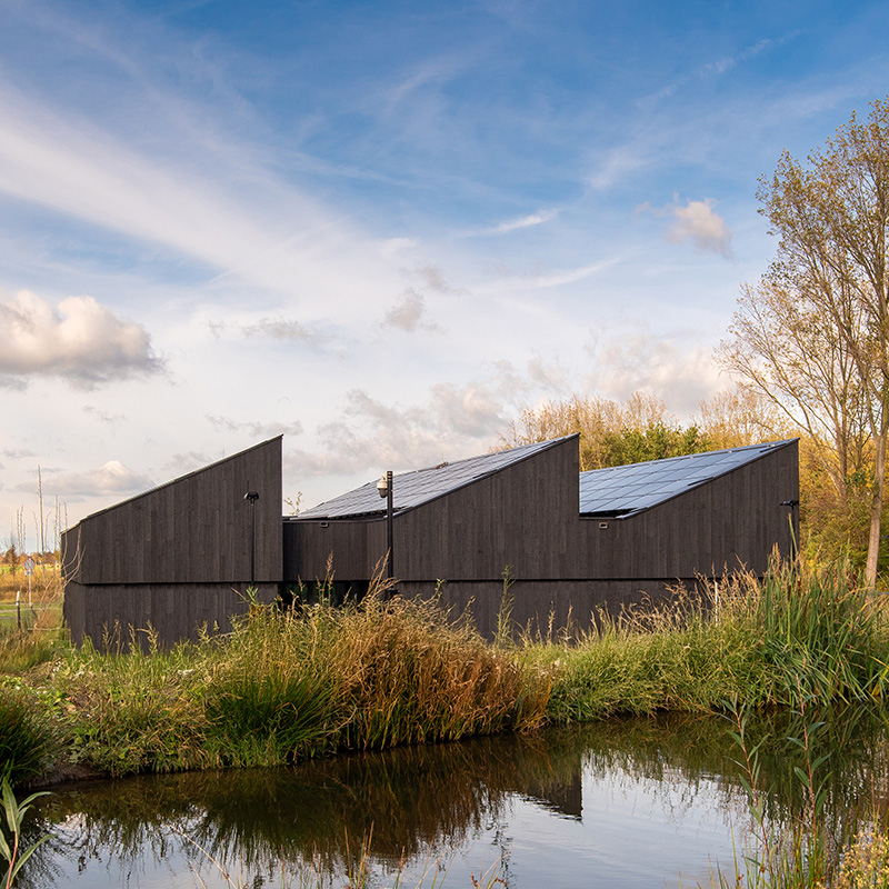 Welke houtsoorten zijn geschikt voor Shou Sugi Ban?