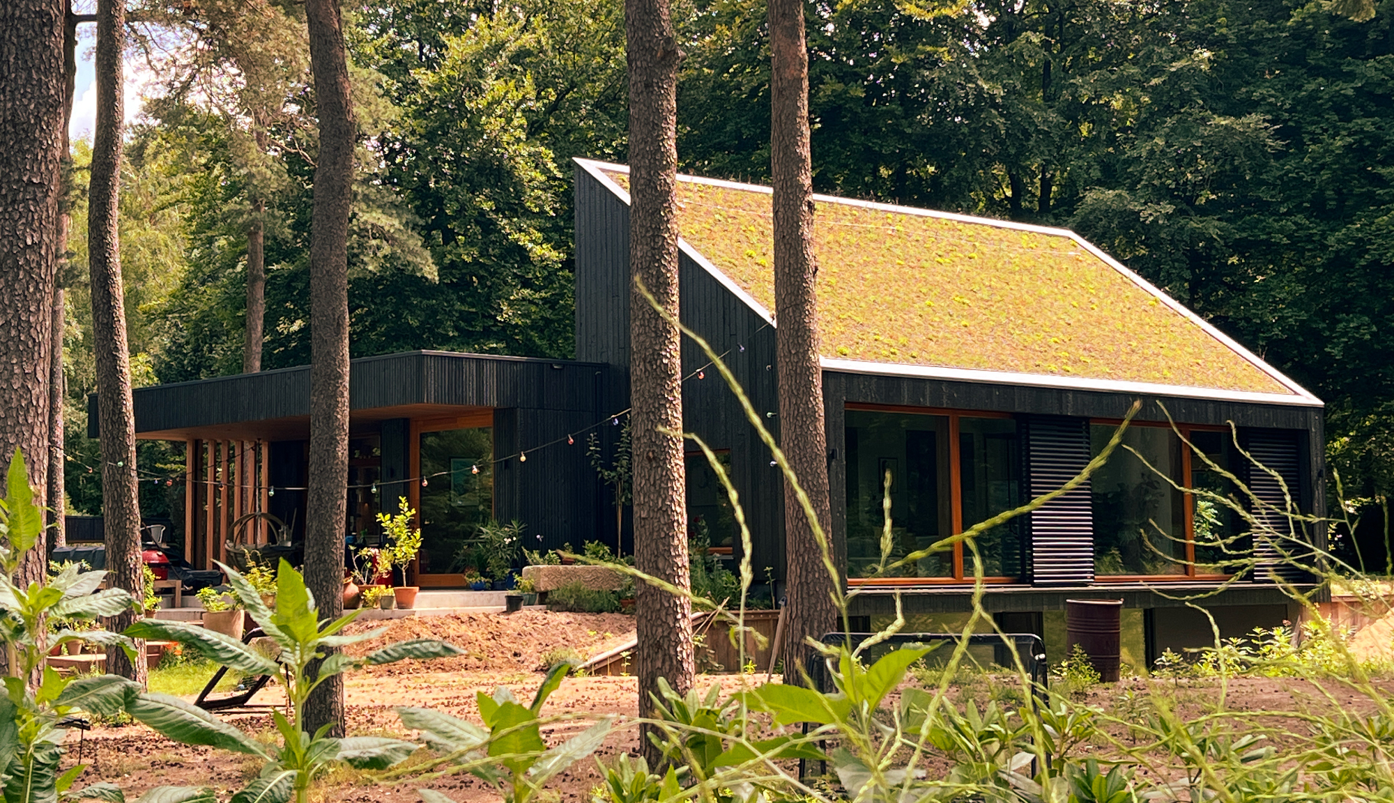 Maison biosourcée par ORGA Architectes